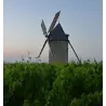 Château Tour Haut Caussan 2010