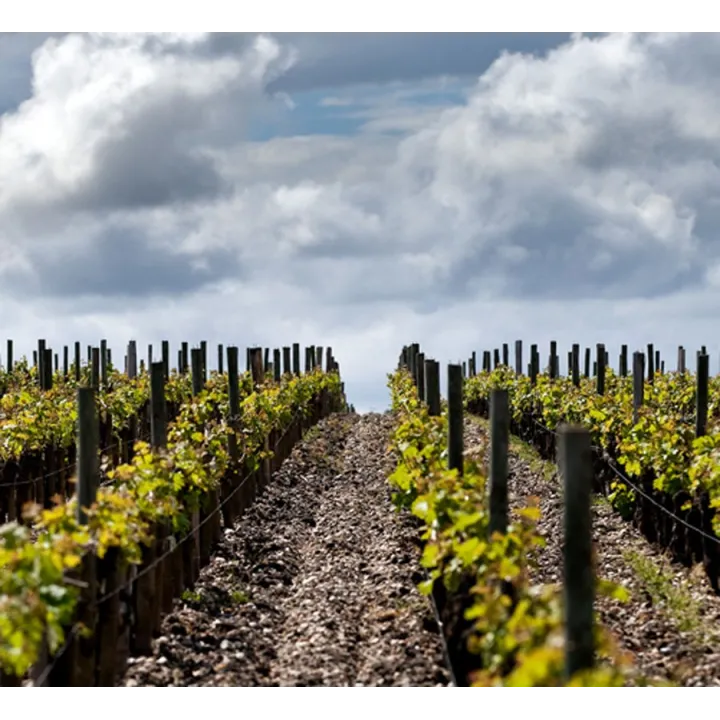 Château d'Armailhac 2016