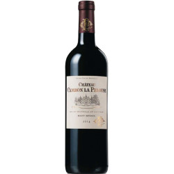 Château Cambon La Pelouse 2014