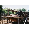 Ariès de Casa Magrez - 2019