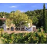 Château Maïme - Origine Côtes de Provence Rouge 2014