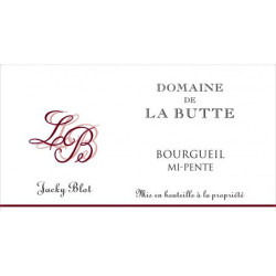 Domaine de la Butte - Bourgueil Mi-Pente 2018