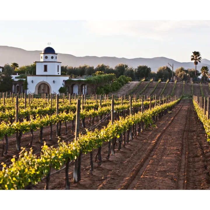 L.A. Cetto - Reserve Privada Nebbiolo 2014