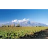 Aliwen Reserva Cabernet-Sauvignon/Syrah 2019