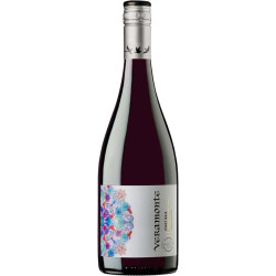 Veramonte Pinot Noir Bio 2018
