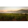 Veramonte Pinot Noir Bio 2018