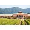Veramonte Chardonnay Bio 2018