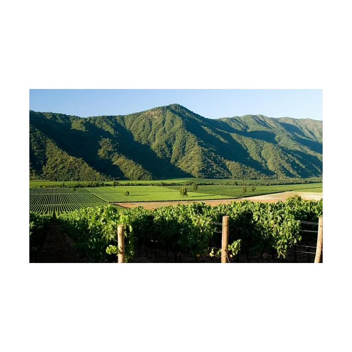 Veramonte Chardonnay Bio 2018