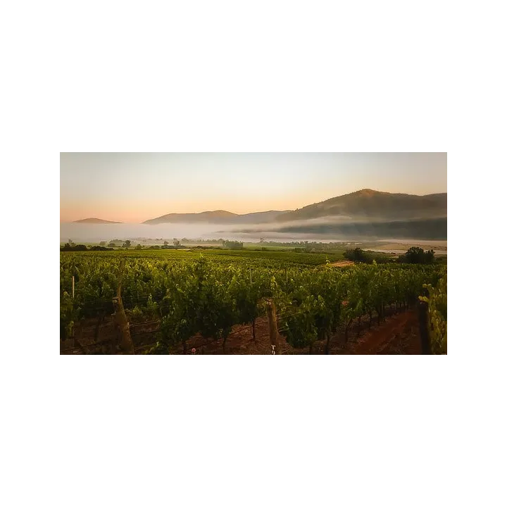 Veramonte Chardonnay Bio 2018