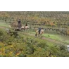 Orzada - Carignan Bio 2018