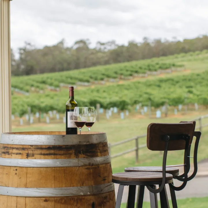 Mount Pleasant Philip Shiraz 2015