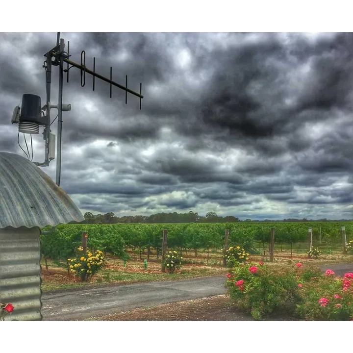 Balnaves The Blend 2014