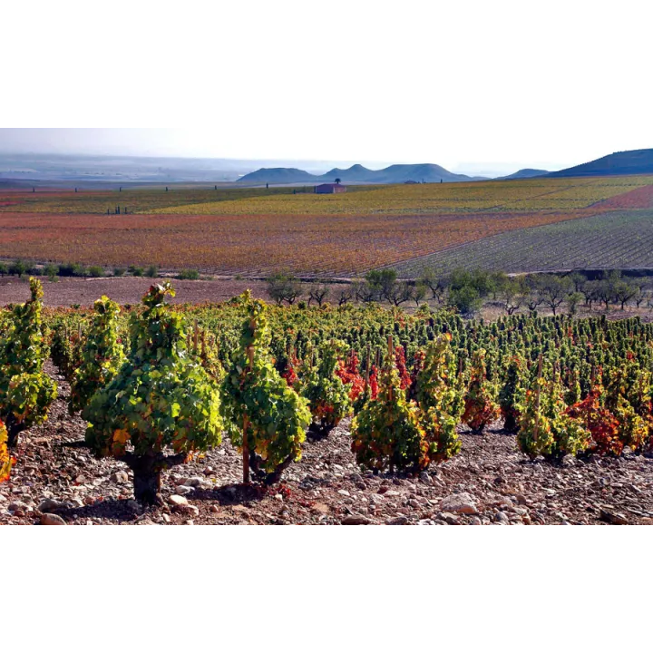 La Montesa - Rioja 2017
