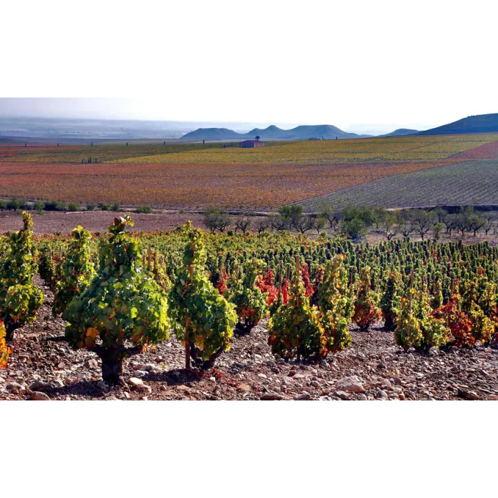 La Vendimia - Rioja 2018