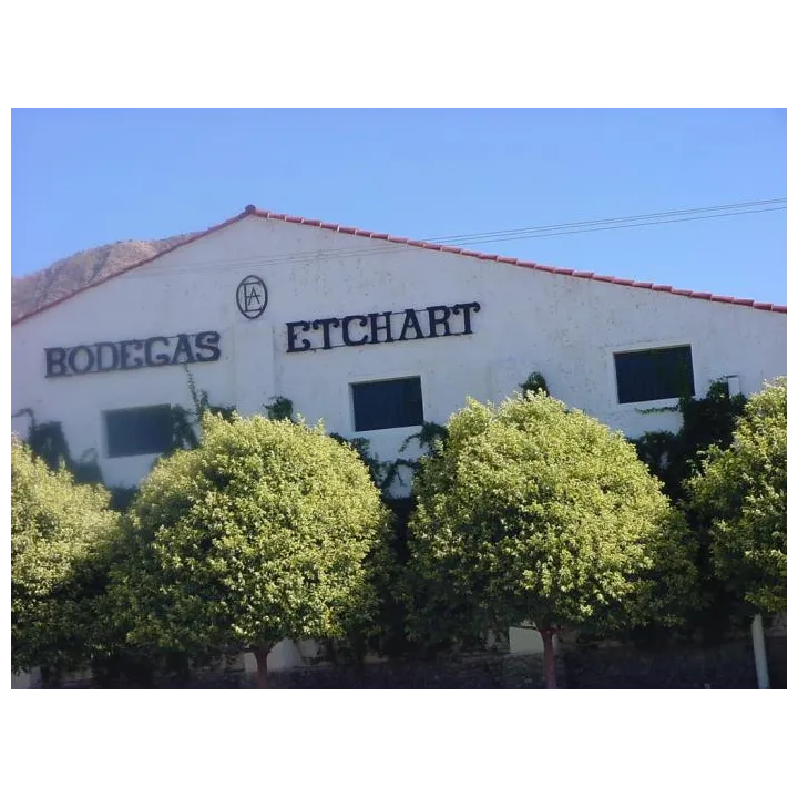 Privado Torrontes - 2020