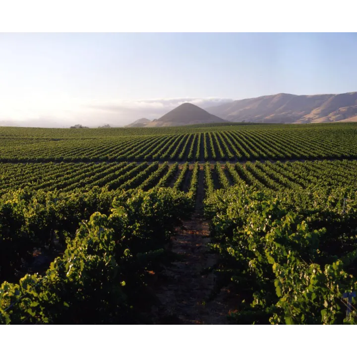 Privado Cabernet Sauvignon Cafayate 2018