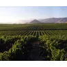 Privado Cabernet Sauvignon Cafayate 2018