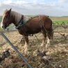 Viña Almate - Tierra de Castillon 2019