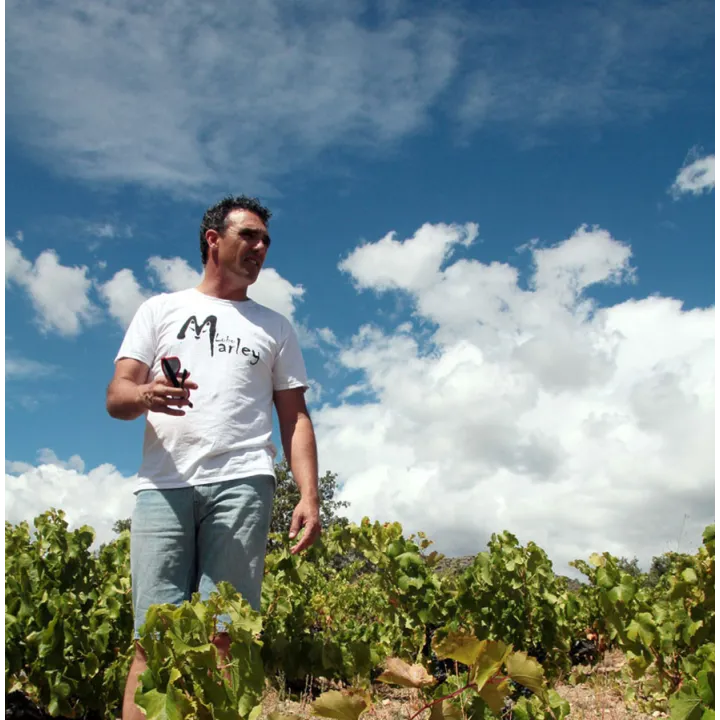 Viña Almate - Tierra de Castillon 2019
