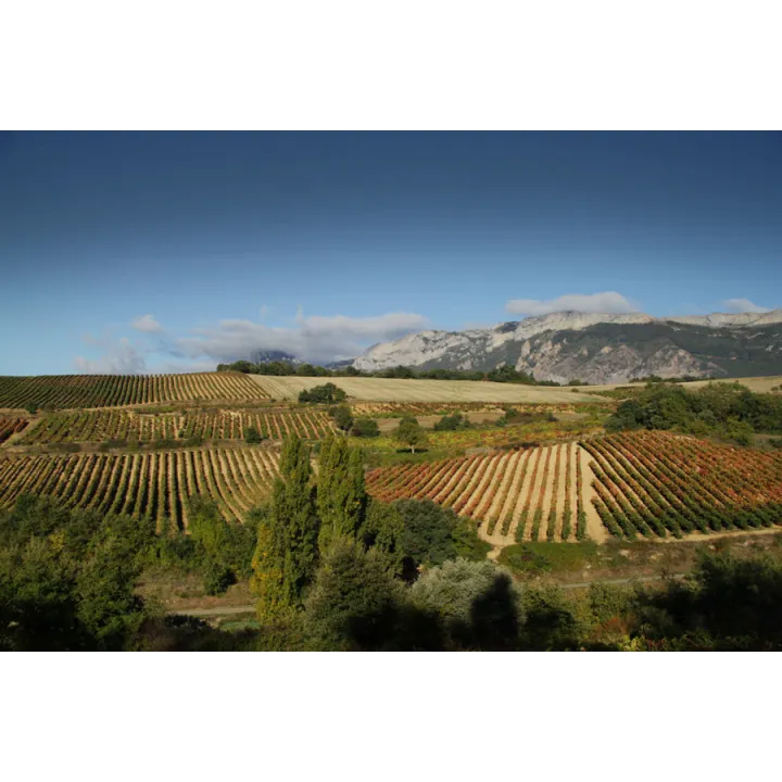 Daimon Tinto - Rioja 2018