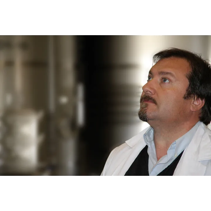 Daimon Tinto - Rioja 2018