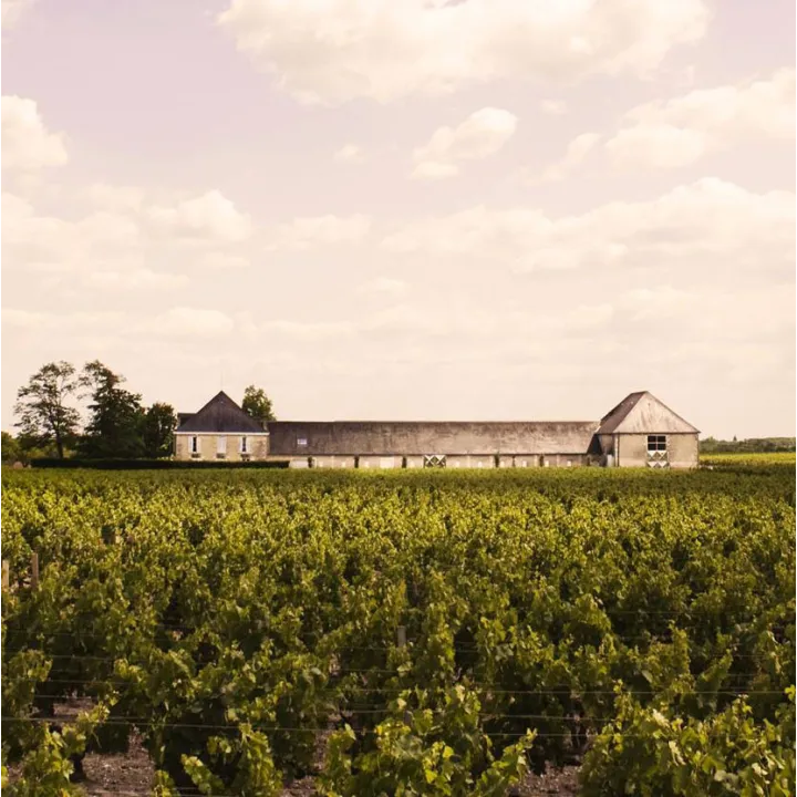 Château Brillette 2016