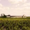 Château Brillette 2018