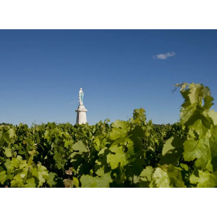 Château La Tour de Mons 2015 Magnum