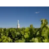 Château La Tour de Mons 2015 Magnum
