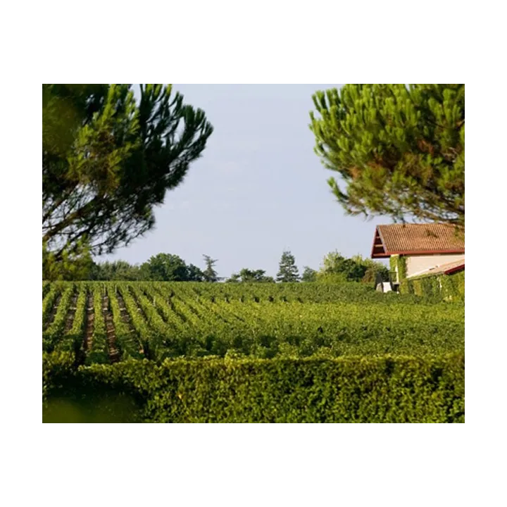Château Malartic Lagravière 2016