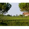 Château Malartic Lagravière 2016