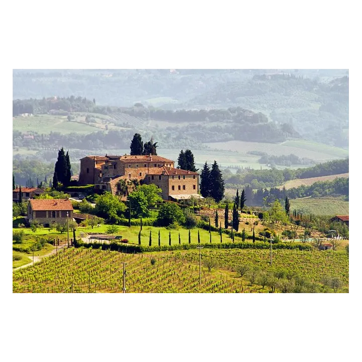 Tuscante Rosso IGT Toscana "Governo all'uso Toscano" 2018