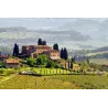 Tuscante Rosso IGT Toscana "Governo all'uso Toscano" 2018