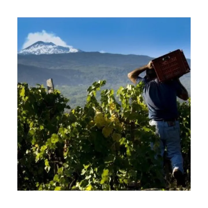 Fumu Rosso - IGT Terre Siciliane 2019