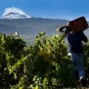 Fumu Rosso - IGT Terre Siciliane 2019