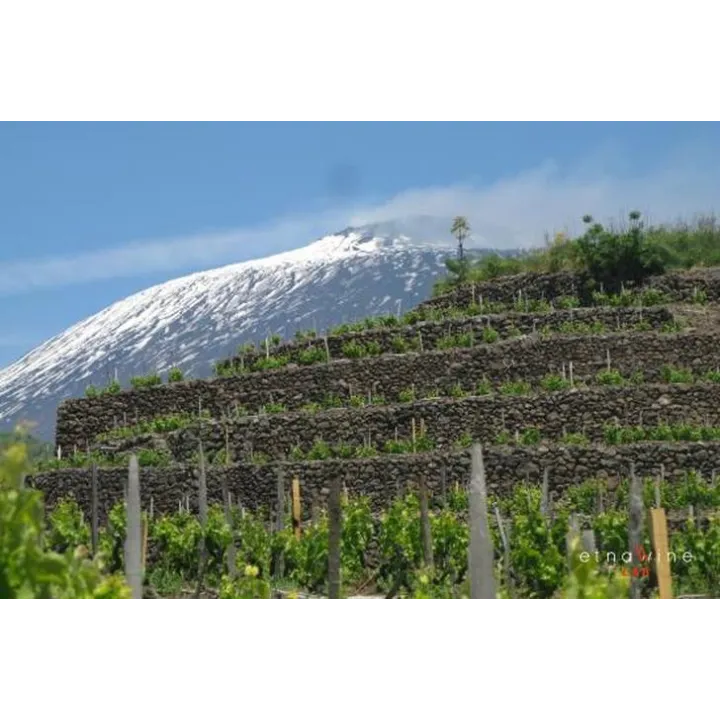Fumu Rosso - IGT Terre Siciliane 2019