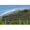Fumu Rosso - IGT Terre Siciliane 2019