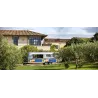 Les Tannes en Occitanie Huile d'Olive Vierge Extra 2019