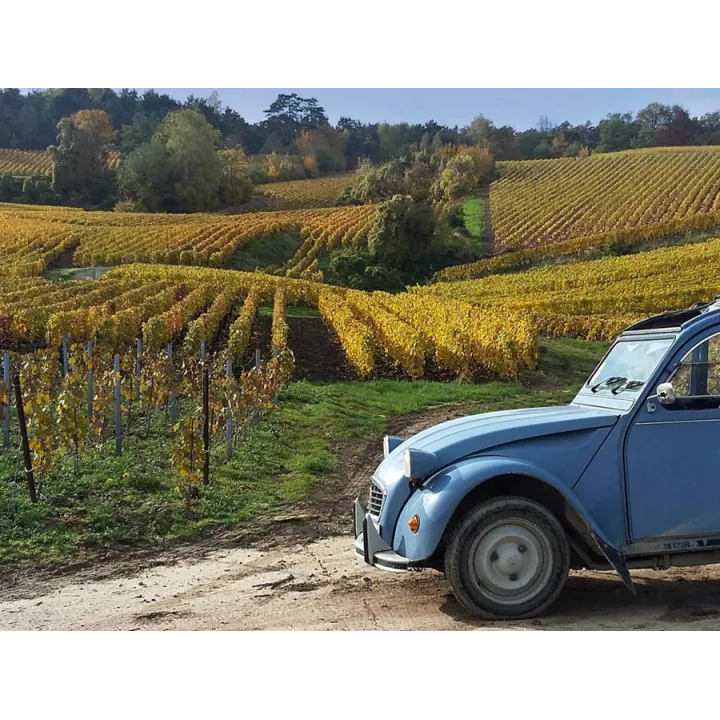 Champagne Goulin-Roualet Brut Blanc de Noirs 1er Cru
