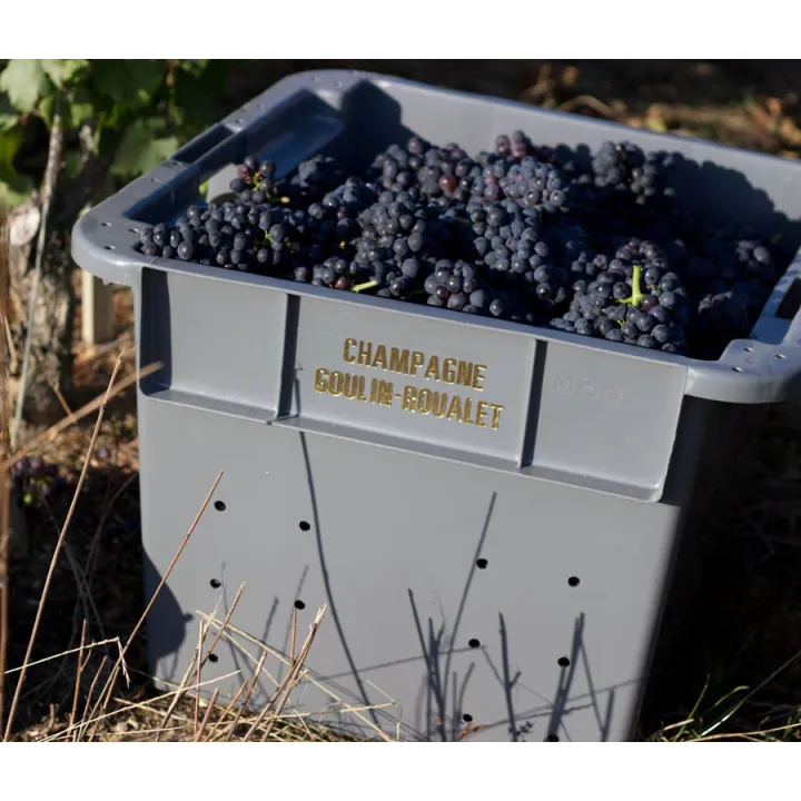 Champagne Goulin-Roualet Brut Blanc de Noirs 1er Cru