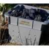 Champagne Goulin-Roualet Brut Blanc de Noirs 1er Cru