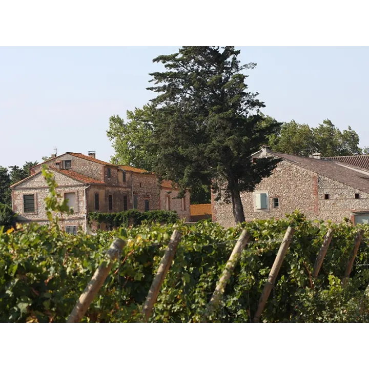 Le Muscat Sec de Lauriga 2017