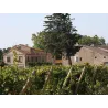 Le Muscat Sec de Lauriga 2017