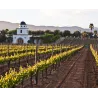 L.A. Cetto - Petite Sirah 2019