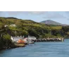 PORT ASKAIG 8 ans 45,8%