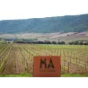 Mas Amiel - Maury Vintage 2019 (37.5cl)