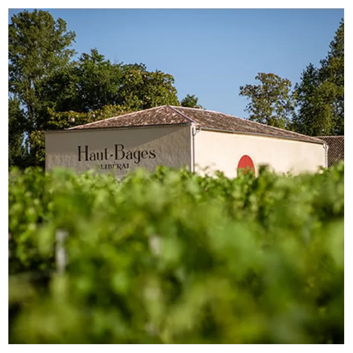 La Chapelle de Haut-Bages Libéral 2017