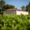 La Chapelle de Haut-Bages Libéral 2017