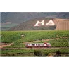 Mas Amiel - NATURAL SYRAH - VDP Roussillon - Bio 2020