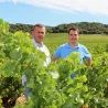 LEVAT - Vin de France 2019